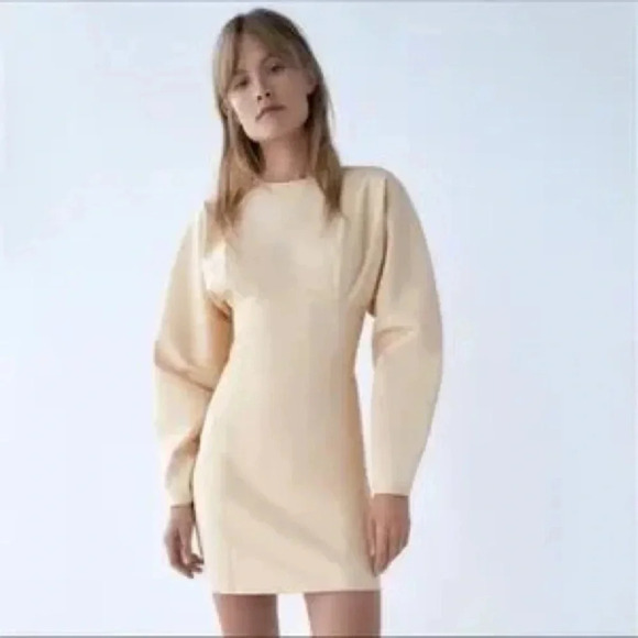 Zara Mini Puff Sleeve Dress - Picture 3 of 6